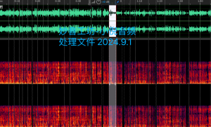 图片[1]-超级可爱的阿倪萝莉音GPT-SoVITS V2-妙音-RVC声音克隆工坊